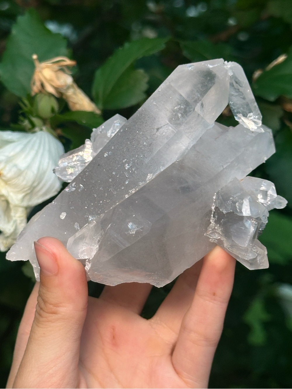 Arkansas Grey Lithium Quartz Cluster 🫧🩶🫧 ALQ8